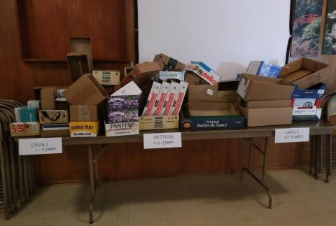 Boxes at the KGF office for Spring Plant Sale 2020 (ddr-densho-354-2784)