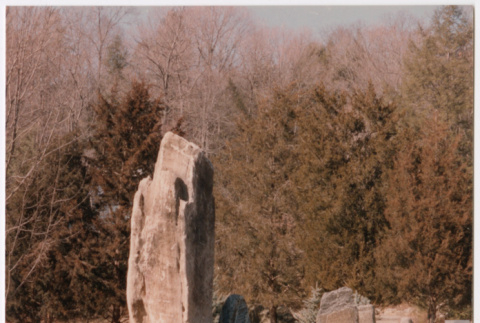 Rock wall entrance (ddr-densho-377-1937)