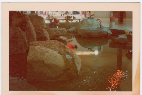 Water feature (ddr-densho-377-2230)