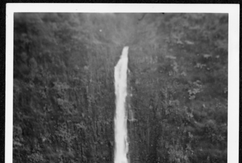Hawaiian waterfall (ddr-densho-363-220)