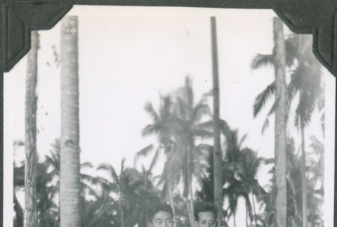 Two men standing by trees.  Joe Iwataki on left (ddr-ajah-2-662)