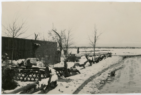 Photograph of the lathe house for the guayule experiments with snow on the ground (ddr-csujad-47-51)