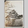 Nagoya Castle (ddr-densho-326-140)