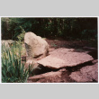 Rock (ddr-densho-377-2465)