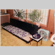 Room with couch and plants (ddr-densho-534-60)