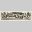 Okinawa Kenjinkai Unification Picnic (ddr-ohs-1-232)
