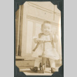 Toddler on tricycle (ddr-densho-442-211)