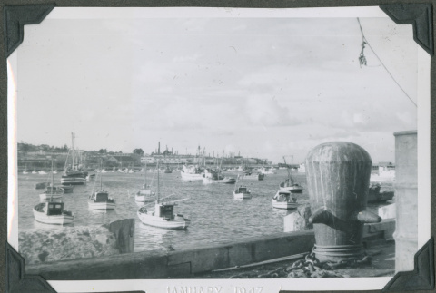 View of Cannery Row (ddr-densho-201-752)