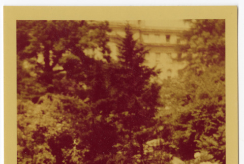 Man sitting among the flowers (ddr-densho-433-1155)