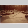 Snowy rocks in forest (ddr-densho-377-2586)