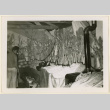 Vegetables on display (ddr-densho-37-1232)