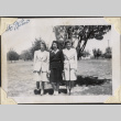 Three women standing in a field (ddr-densho-466-896)