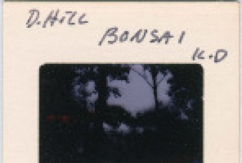 Front and back (ddr-densho-377-1051-mezzanine-9644892cd5)