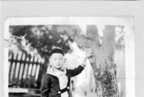 Child and tree (ddr-densho-1007-467)