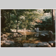 Rock feature in pond (ddr-densho-377-1958)