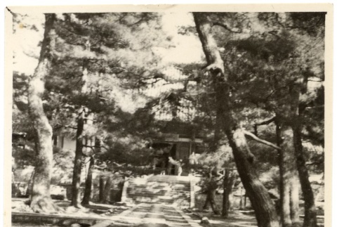 photograph (ddr-one-2-443-mezzanine-d724e51c21)