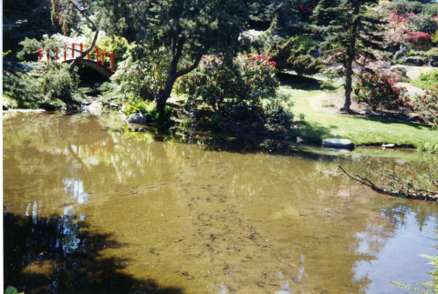 Silt in the pond by the Moon Bridge (ddr-densho-354-1500)