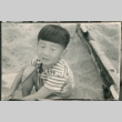 Boy sitting in sand (ddr-densho-523-114)