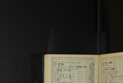 Page 393 (ddr-densho-255-18-master-4153467b35)
