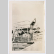 Man Standing on Diving Board (ddr-densho-368-616)