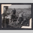 Group of 5 farmers digging (ddr-densho-468-443)