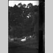Man feeding ducks (ddr-densho-426-1738)