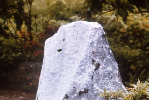 Stone in the Garden (ddr-densho-354-309)