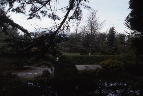 Pond in the Japanese Garden (ddr-densho-354-1110)