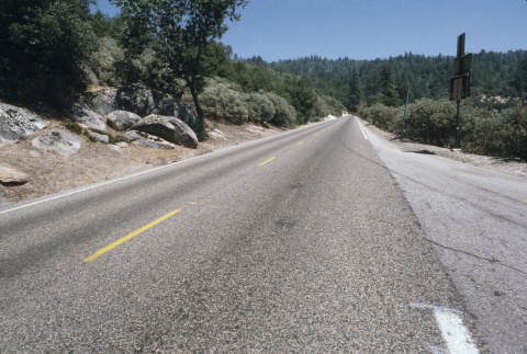 On the road from Fresno to Lake Sequoia (ddr-densho-336-1773)