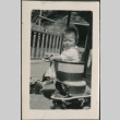 Baby in stroller (ddr-densho-523-102)