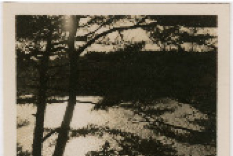 Photo,  front and back (ddr-densho-426-1393-mezzanine-6cc502ae89)
