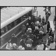 Japanese Americans boarding bus (ddr-densho-151-328)