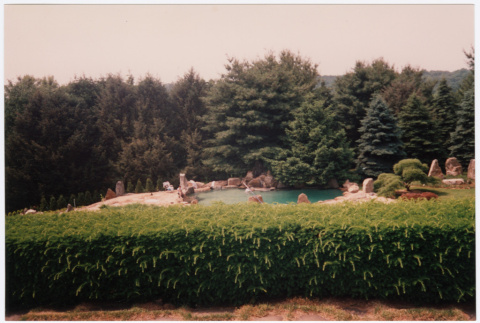 Pool (ddr-densho-377-1916)