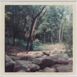Boulders at the Brooklyn Botanic Garden (ddr-densho-377-9)