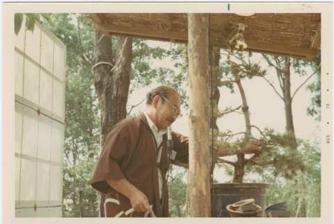 Kaneji Domoto giving a bonsai demonstration at Hill Nursery (ddr-densho-377-351)