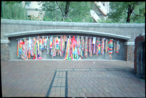 Rows of Tsurus handing along wall (ddr-densho-426-498)