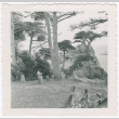 Scenic outlook by the water (ddr-densho-433-752)