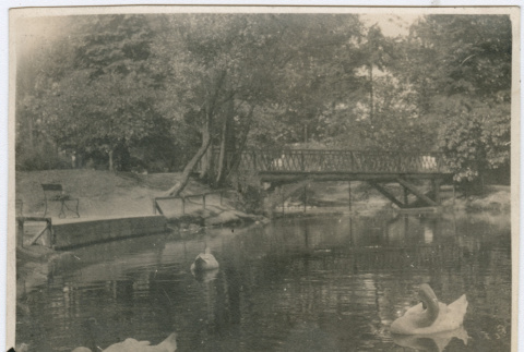Wright Park pond and bridge (ddr-densho-26-140)