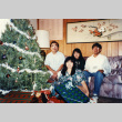 [Family holiday portrait] (ddr-csujad-29-92)