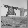 Last laundry drying in sun before mass removal (ddr-densho-151-178)