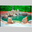 Pool with rock feature (ddr-densho-377-2607)