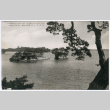 Blank postcard (ddr-densho-501-39)