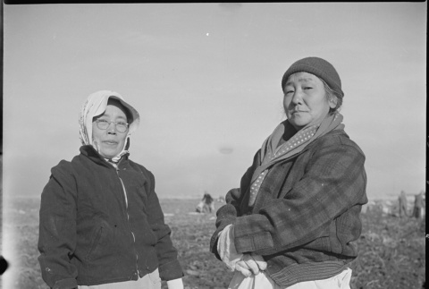 Two Japanese American farmers (ddr-densho-37-85)