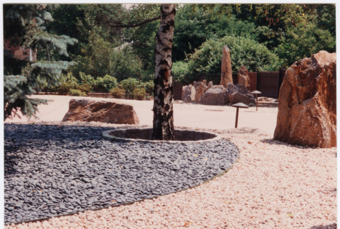 Rock landscaping with tree in center (ddr-densho-377-1867)