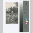 Woman in orchard (ddr-densho-255-112)
