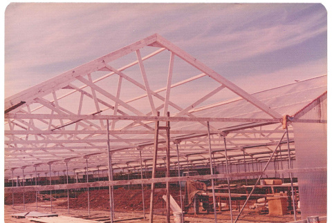 Construction of greenhouses (ddr-densho-441-59)