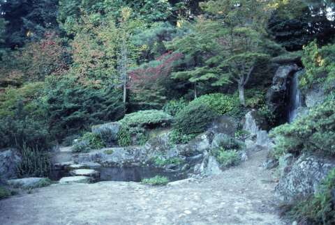 Upper Waterfall Pond (ddr-densho-354-1265)