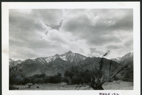 Photograph of Mount Williamson with brush in the foreground (ddr-csujad-47-84)
