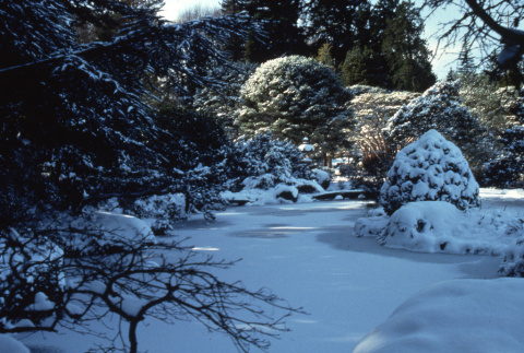 Japanese Garden pond after snow storm (ddr-densho-354-1023)
