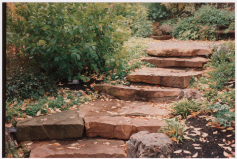 Steps (ddr-densho-377-2070)